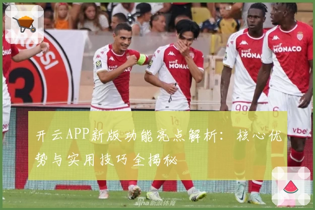 开云APP新版功能亮点解析：核心优势与实用技巧全揭秘