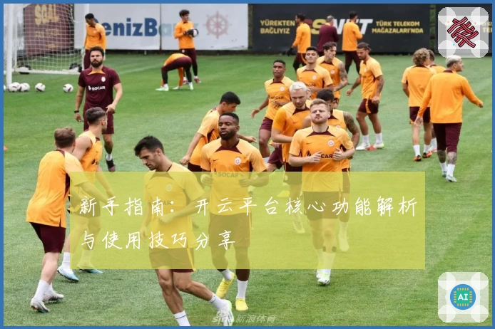 新手指南：开云平台核心功能解析与使用技巧分享