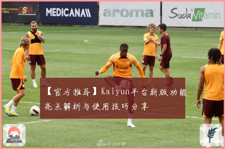 【官方推荐】Kaiyun平台新版功能亮点解析与使用技巧分享